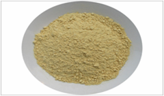 Ginger Powder from Vietnam